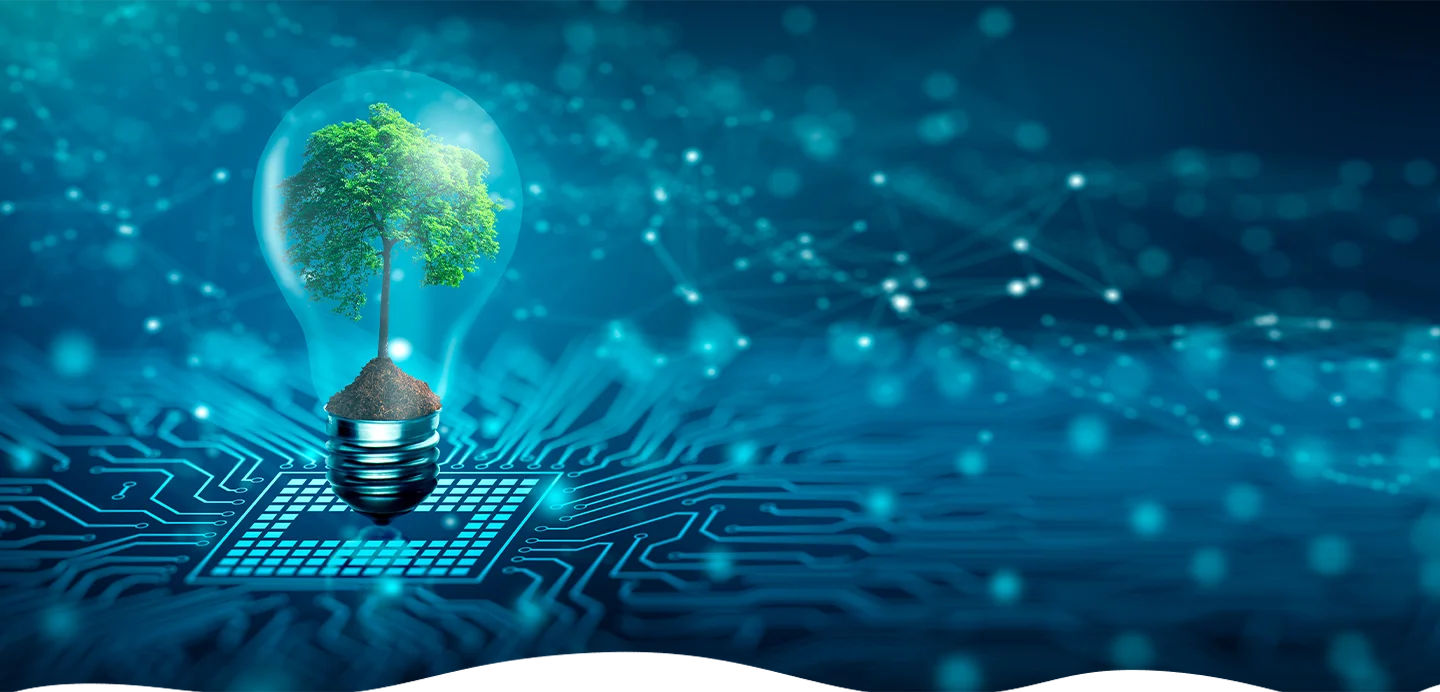 eco numerqiue